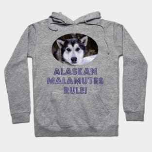 Alaskan Malamutes Rule! Hoodie